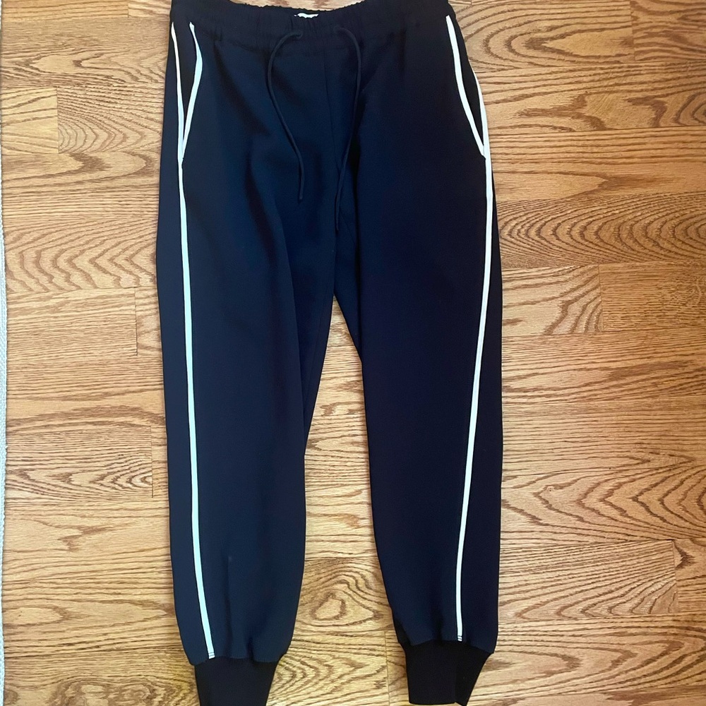 Aritzia Wilfred Black Jogger